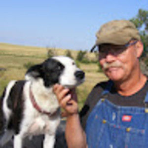 Meet your Posher, Dallis